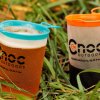 CNOC Curn Collapsible Cups, Pair